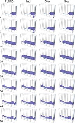 Windowed 4D inversion for near real-time geoelectrical monitoring applications